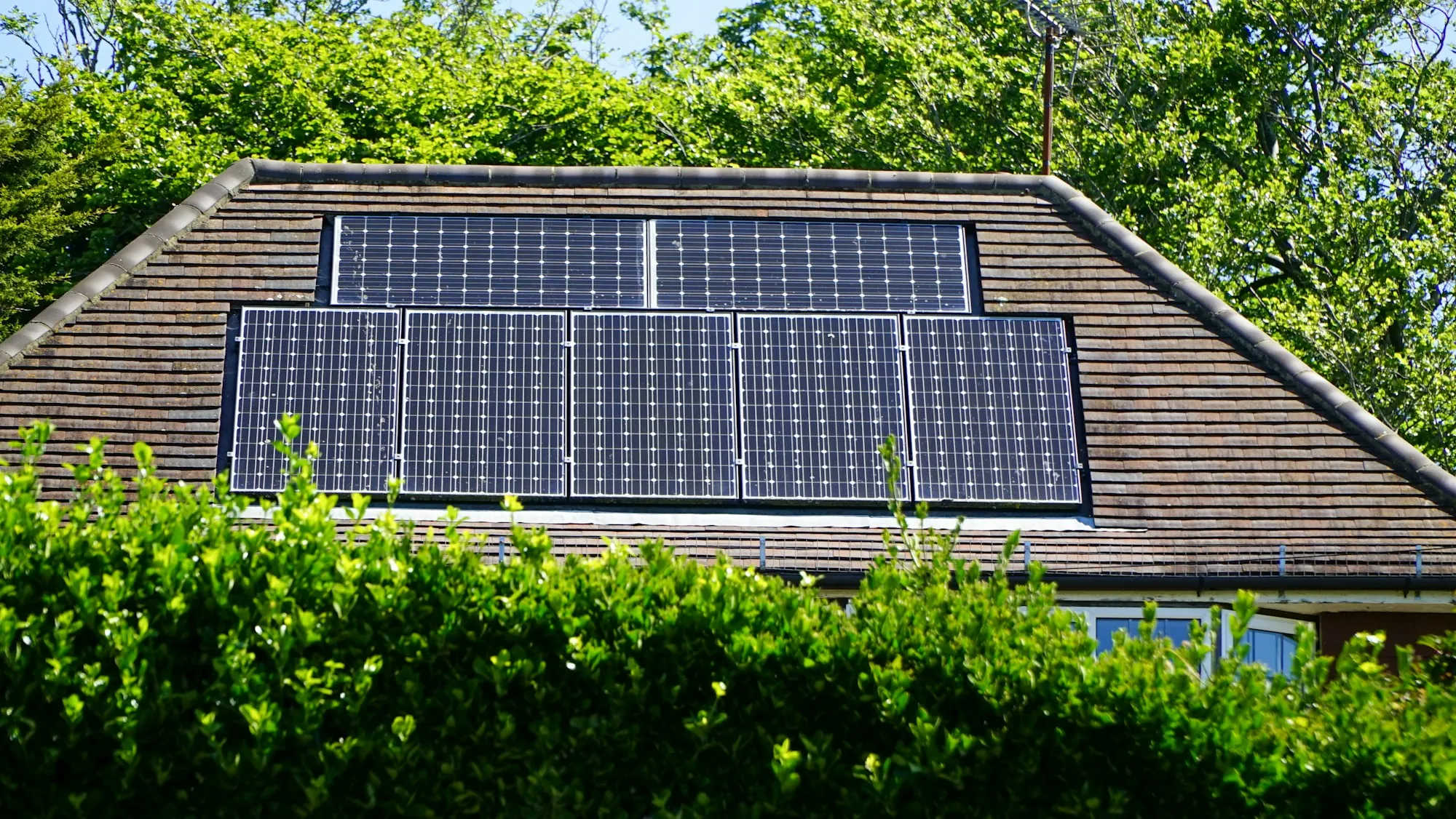 Two rows of dark solar panels on a sloped home roof behind a green hedge